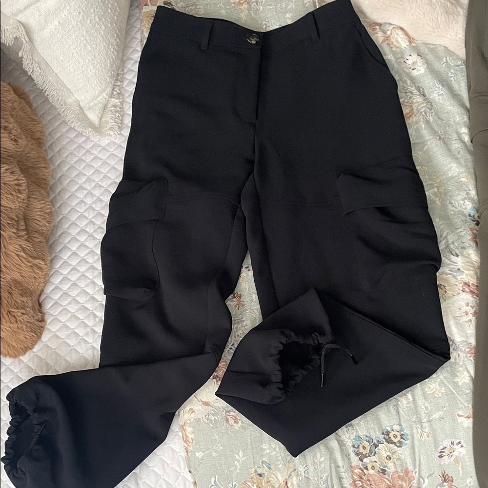 Aritzia Wilfred cargo crepette pants. Drawstring ankles